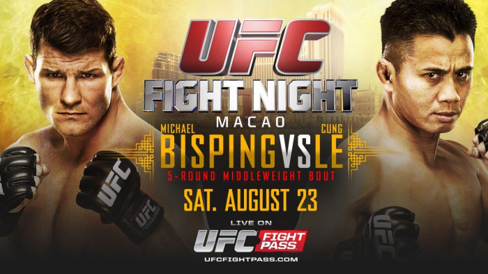 UFC Fight Night 48: Bisping vs Le – Best Fight Odds