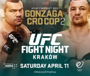 UFC_Fight_Night_62_Gonzaga_vs._Cro_Cop_2_Poster